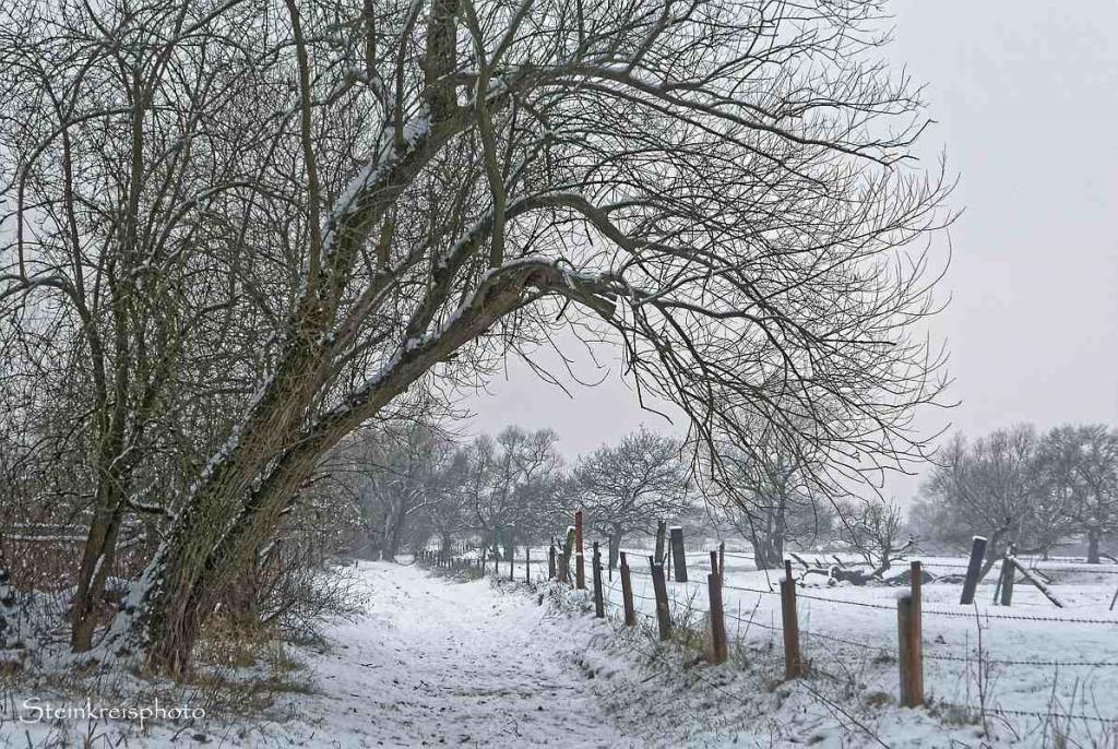comp Der Weg DxO