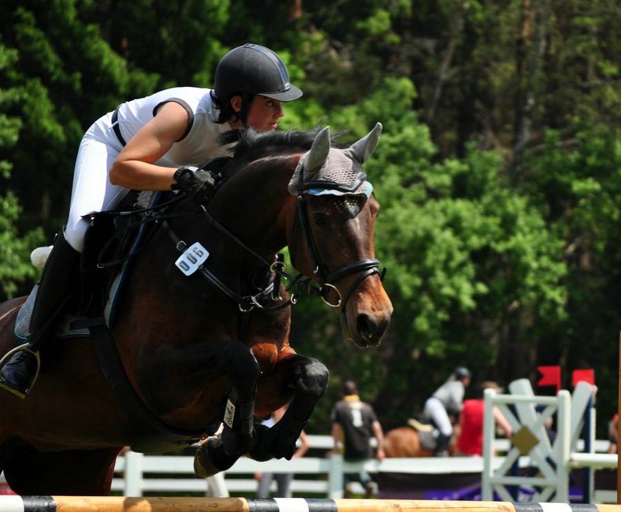 comp DSC 0069