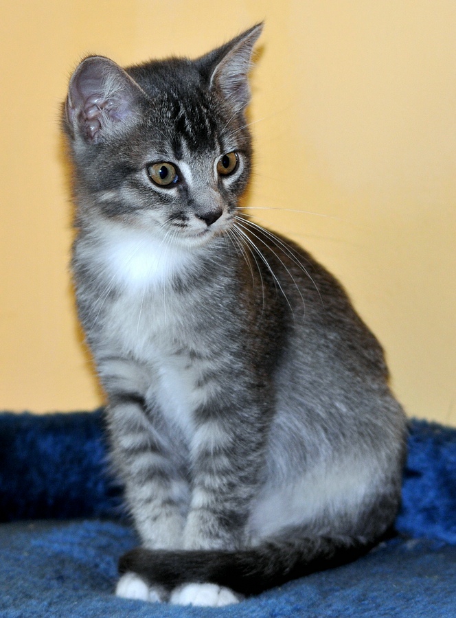 comp DSC 0259