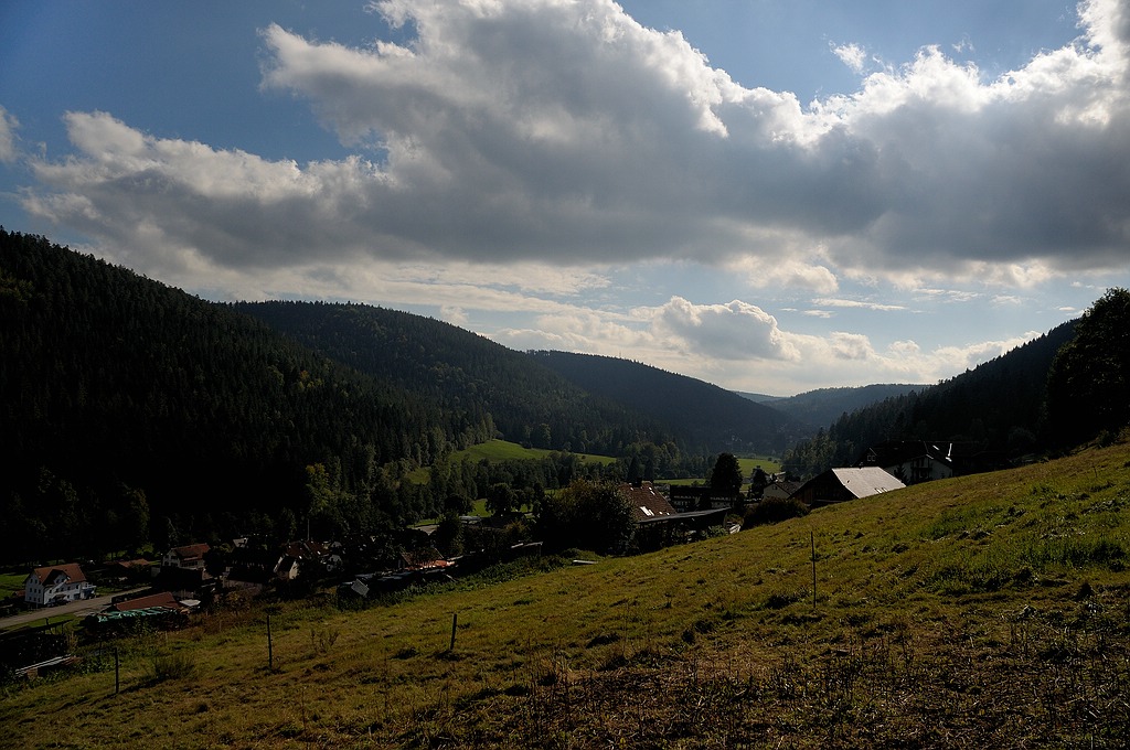 comp DSC 0778 bearbeitet