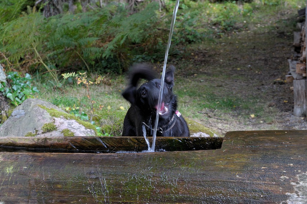 comp DSC 0867 bearbeitet