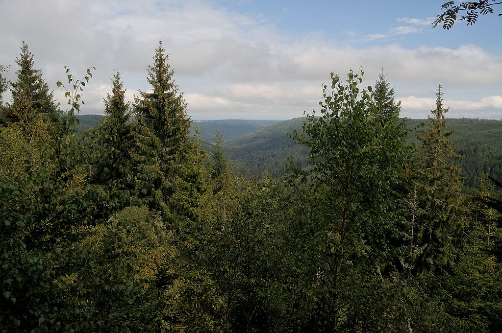 comp DSC 0903 bearbeitet