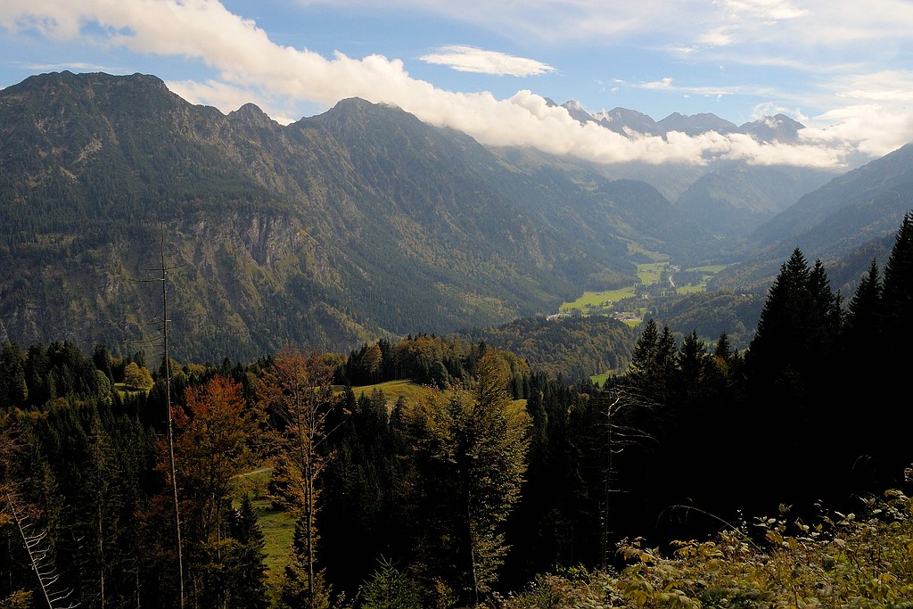 comp DSC 1083 bearbeitet