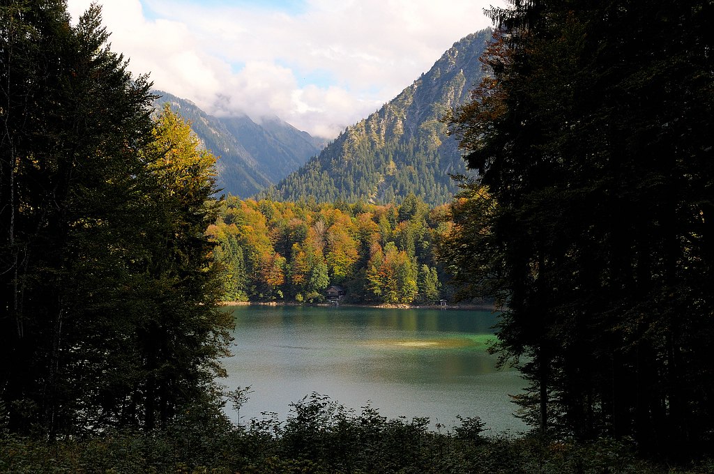 comp DSC 1088 bearbeitet

Freibergsee
