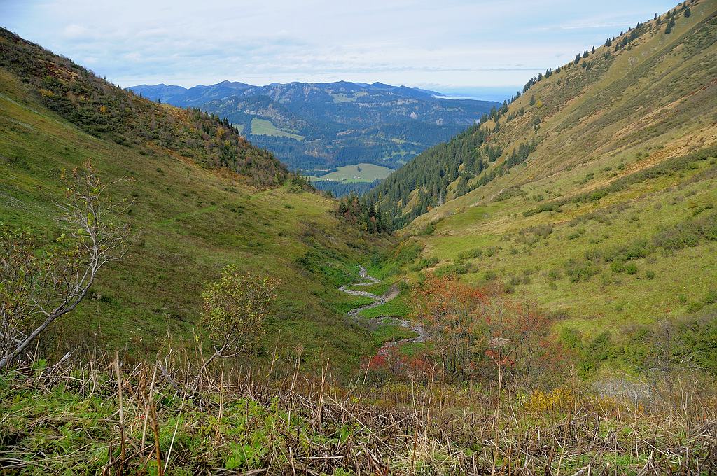 comp DSC 1382 bearbeitet