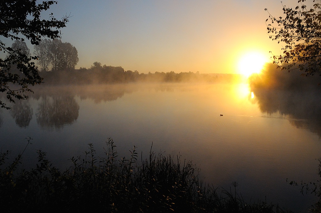 comp DSC 1525 bearbeitet