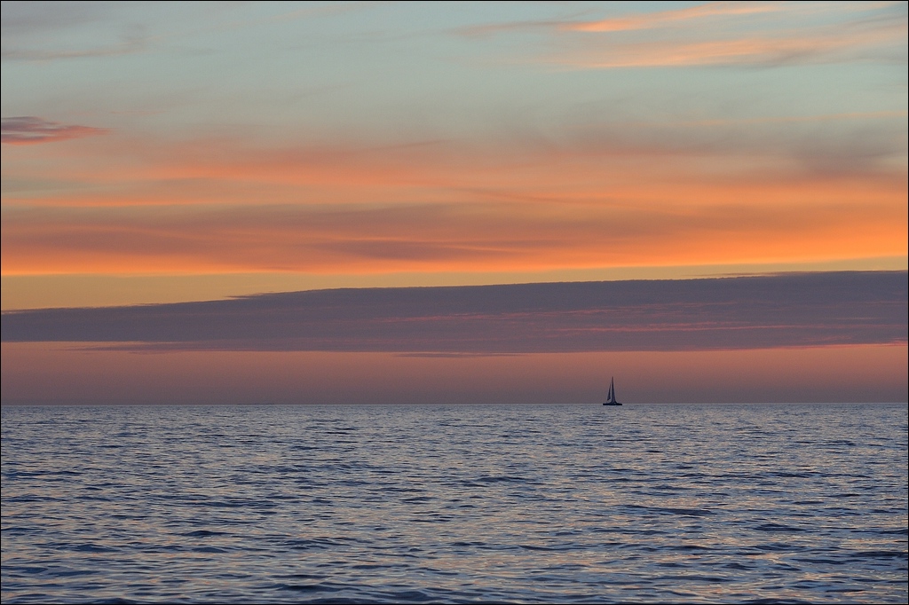 comp DSC 2021