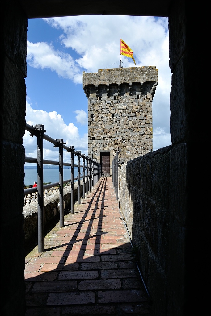 comp DSC 2329