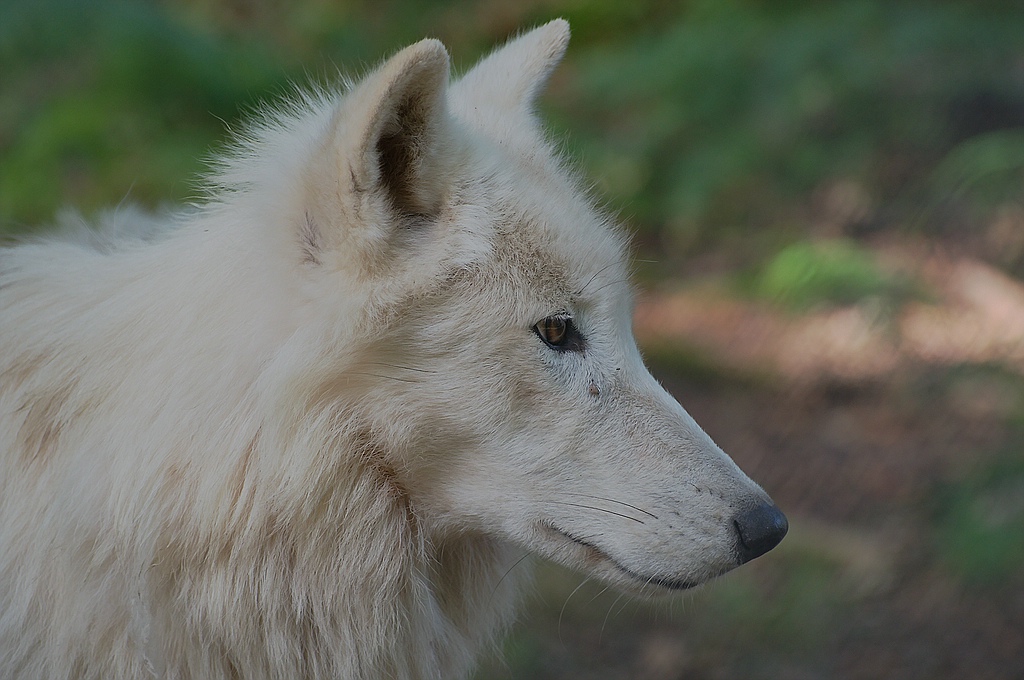 comp DSC 2354