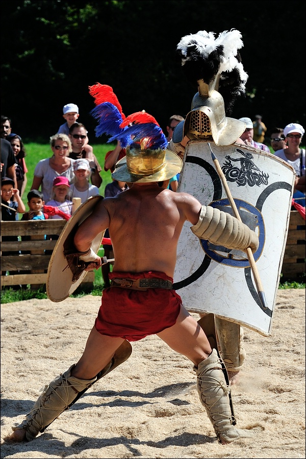 comp DSC 2411