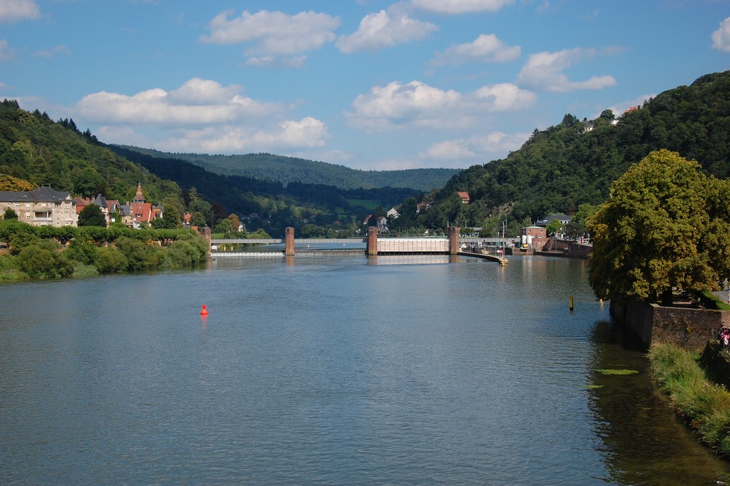 comp DSC 2596