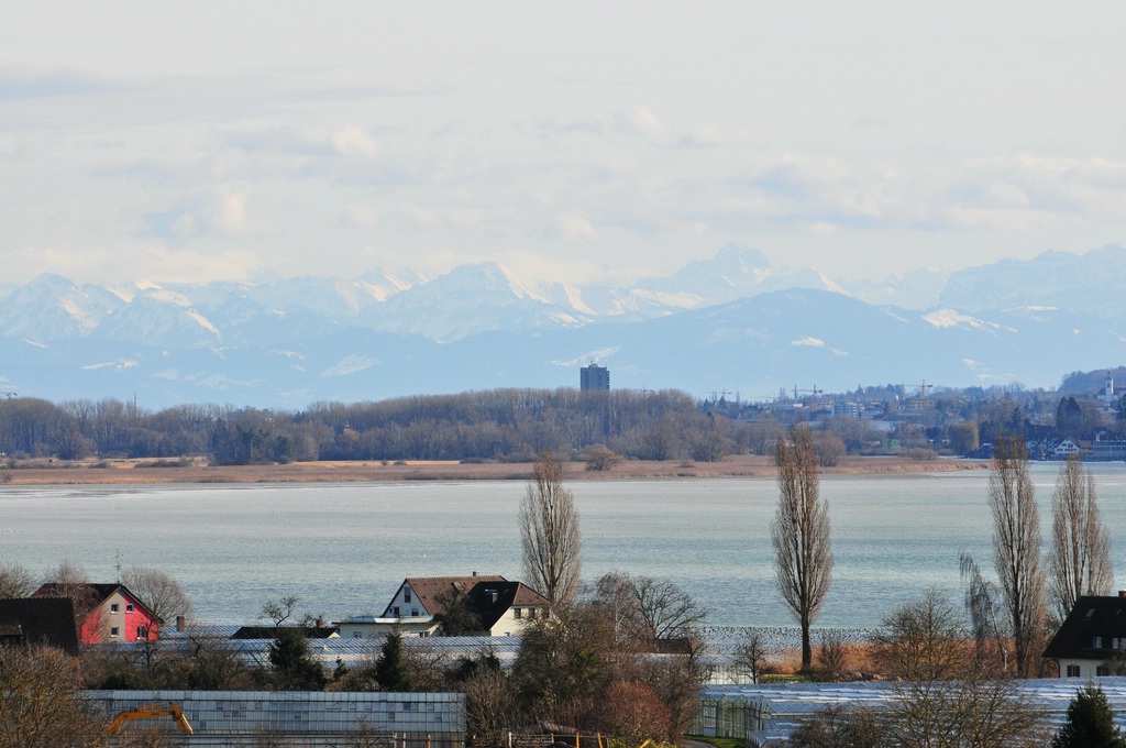 comp DSC 2666