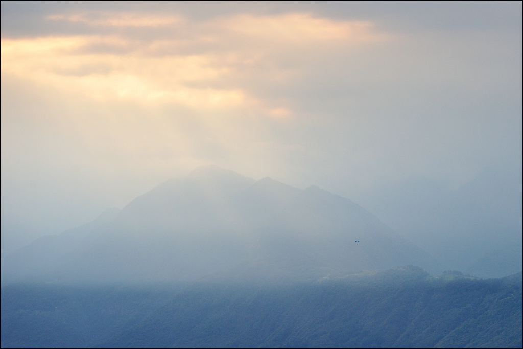 comp DSC 2811