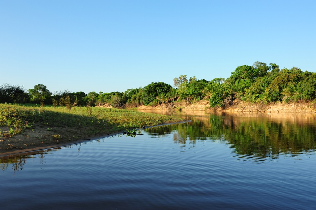 comp DSC 2824