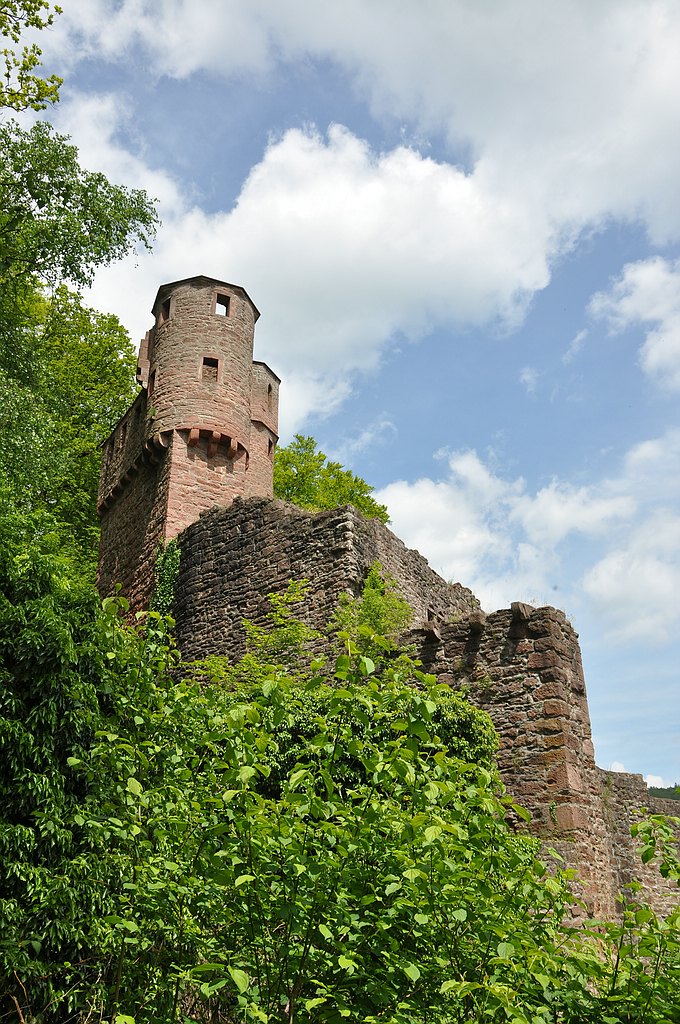 comp DSC 2842