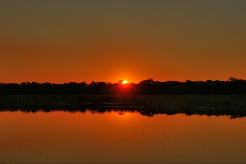 comp DSC 2876