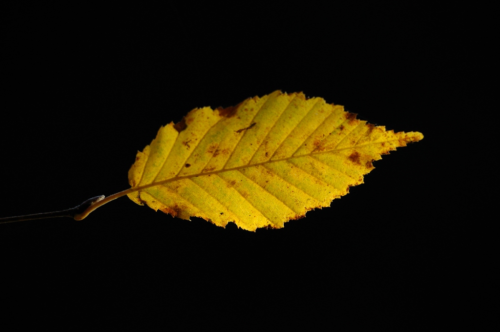 comp DSC 2916 bearbeitet