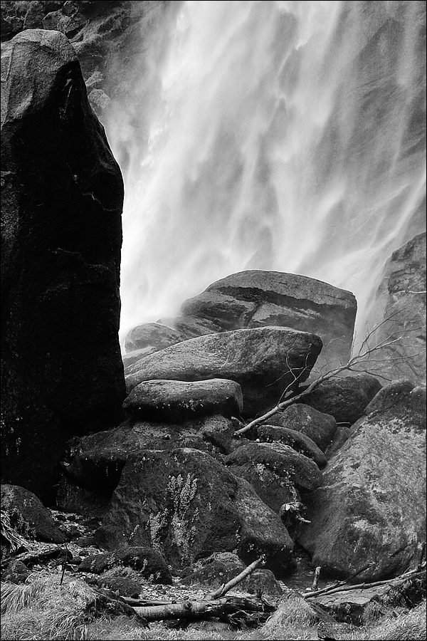 comp DSC 2951 1 SW
