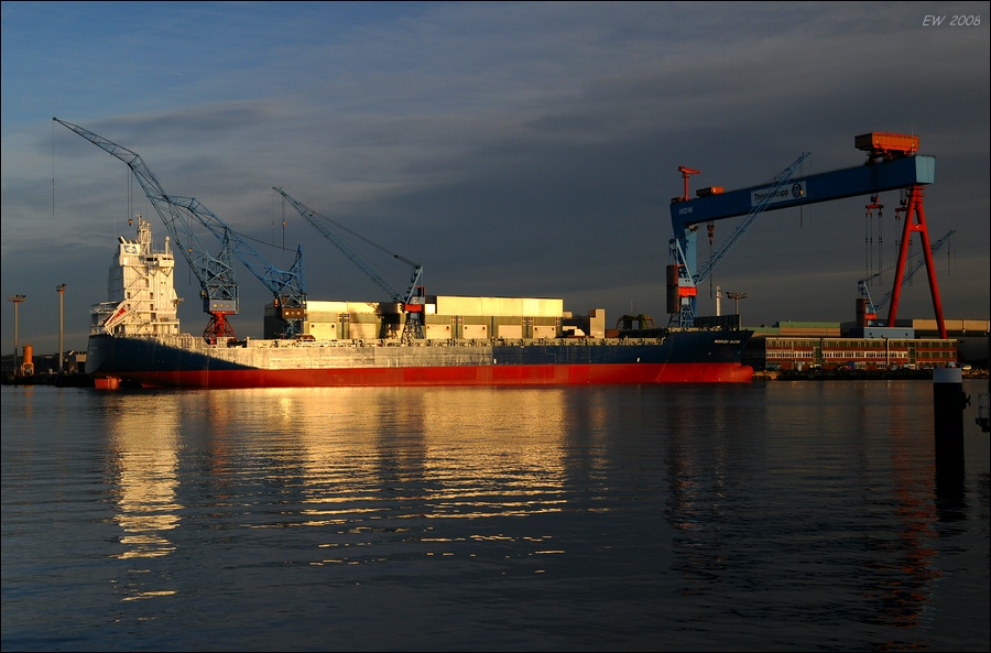 comp DSC 2981