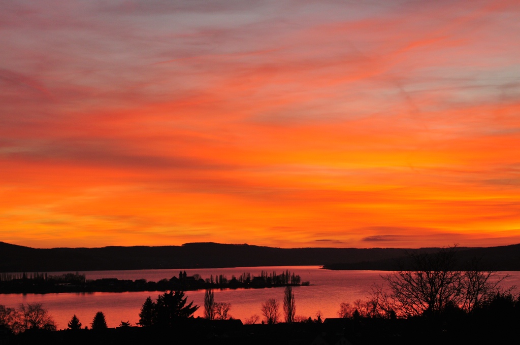 comp DSC 3061