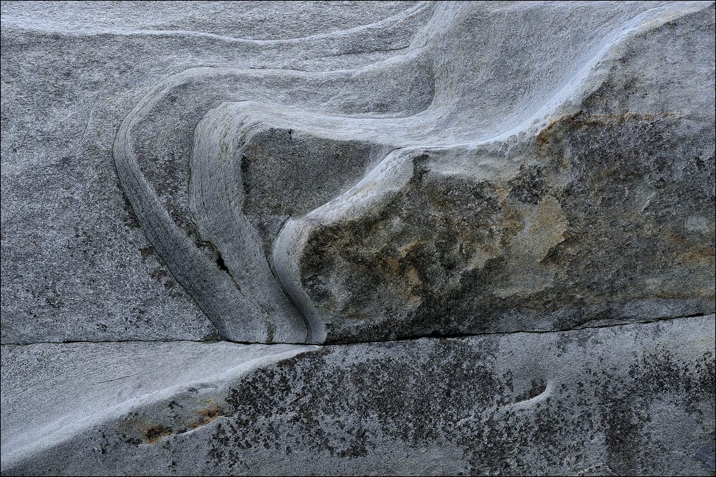 comp DSC 3110