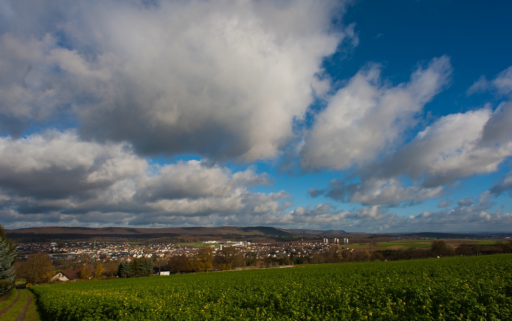 comp DSC 3174 2