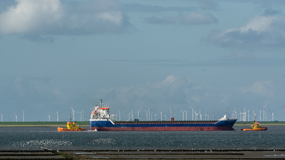 comp DSC 3216123