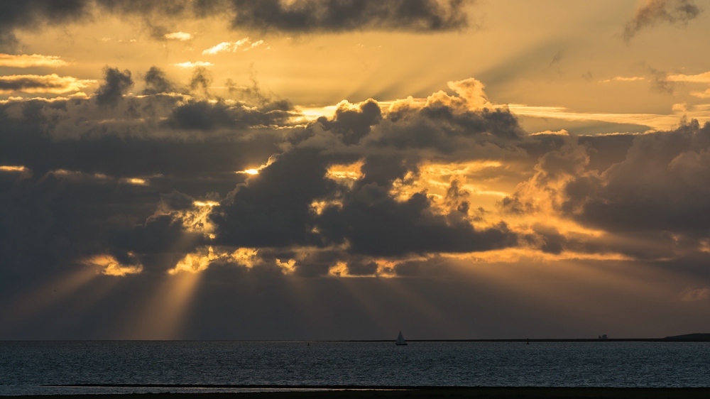 comp DSC 3240123
