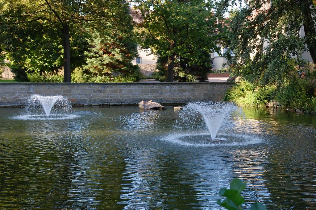 comp DSC 3264
