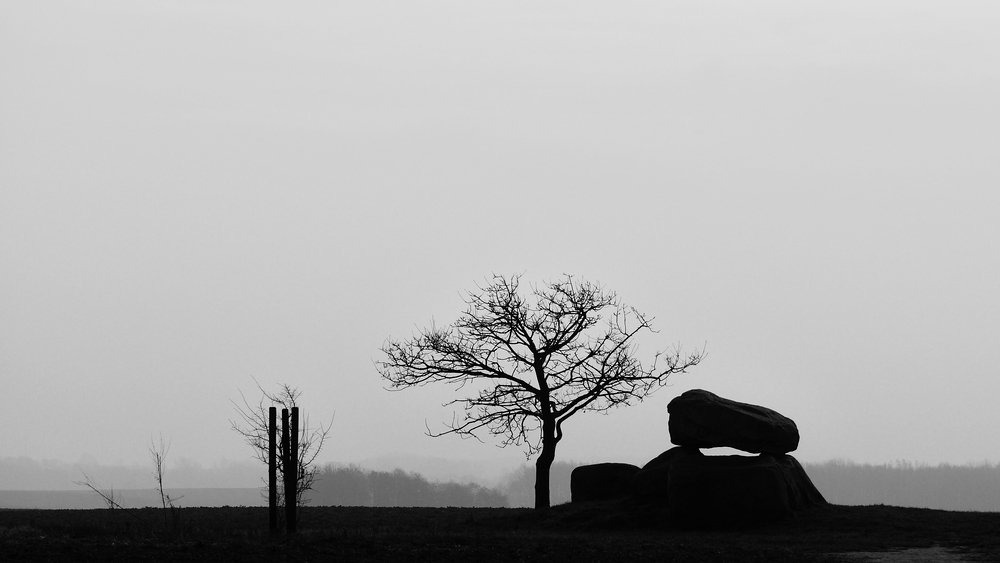 comp DSC 3330