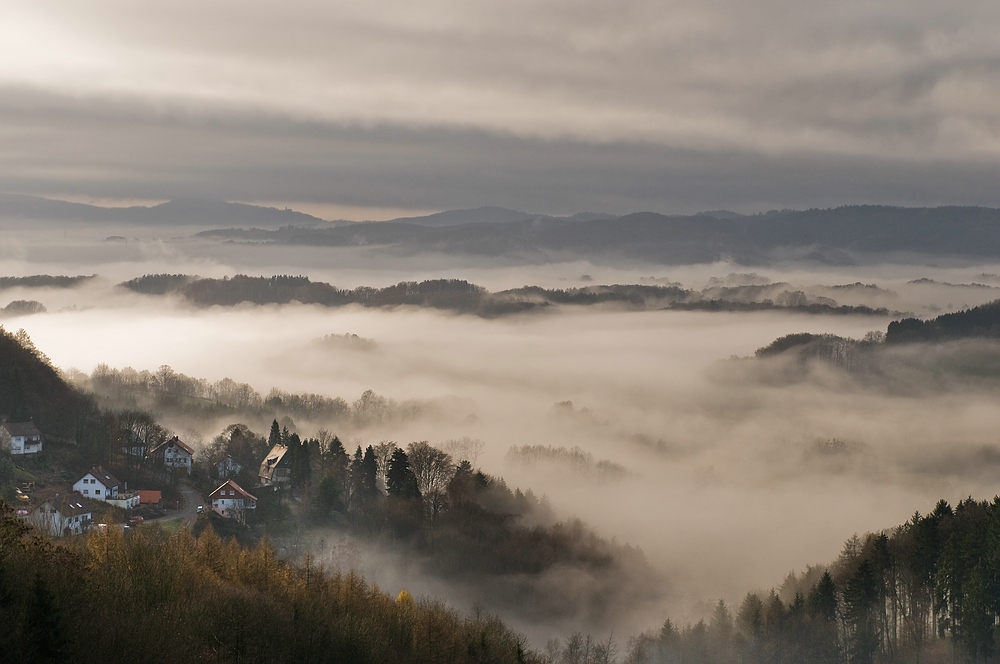 comp DSC 3368 bearbeitet 1