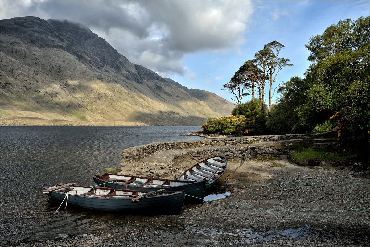 comp DSC 3430 Kopie