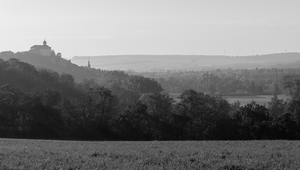 comp DSC 3926 2