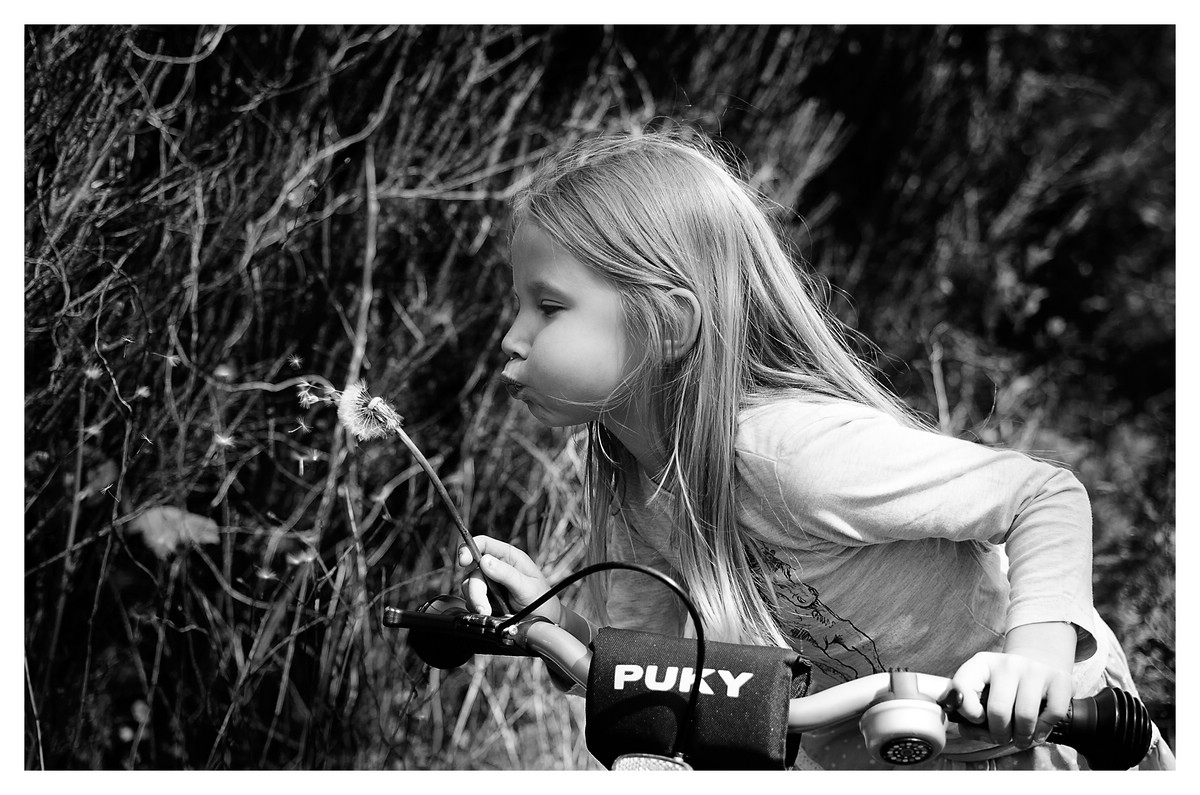 comp DSC 4722
