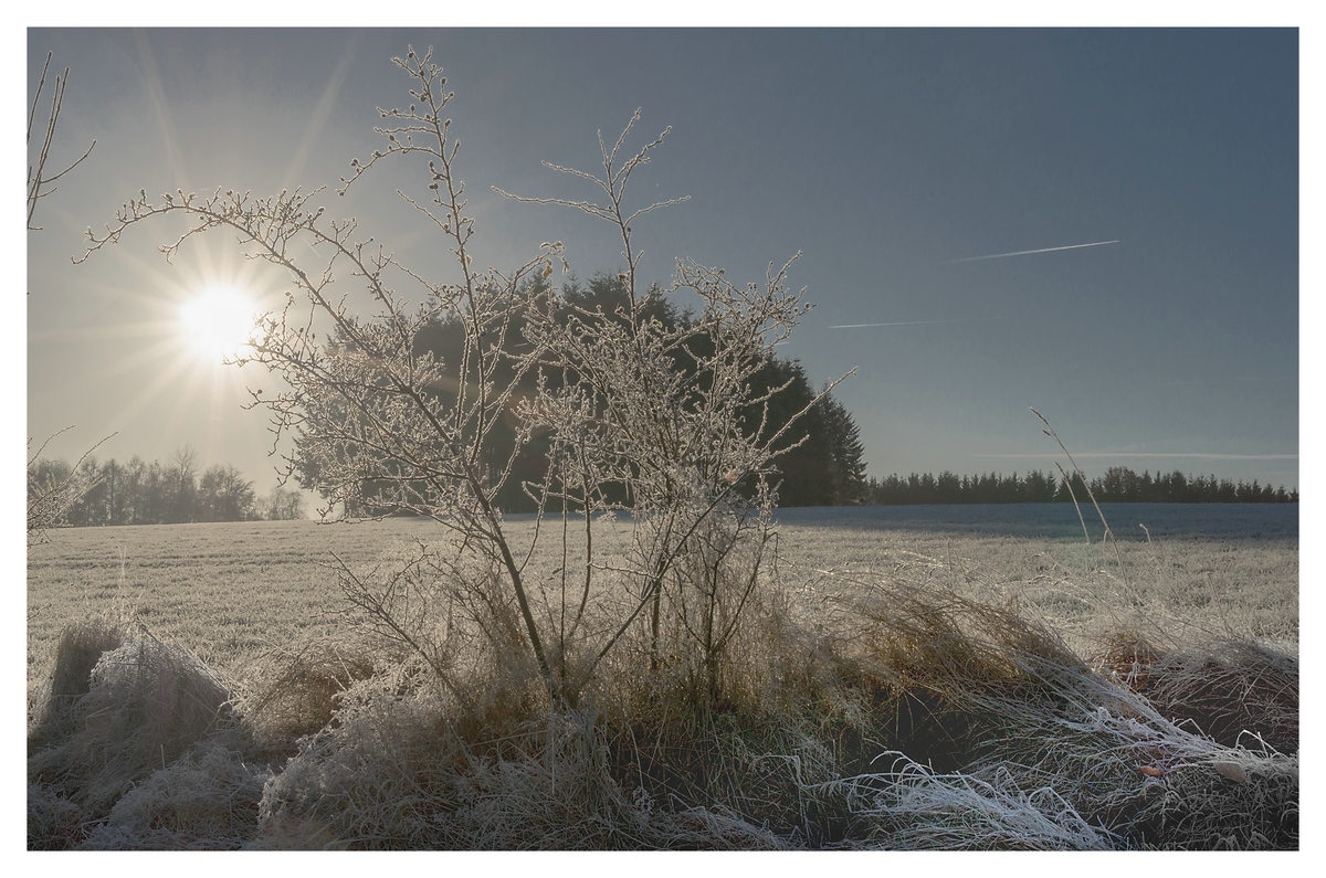 comp DSC 7467