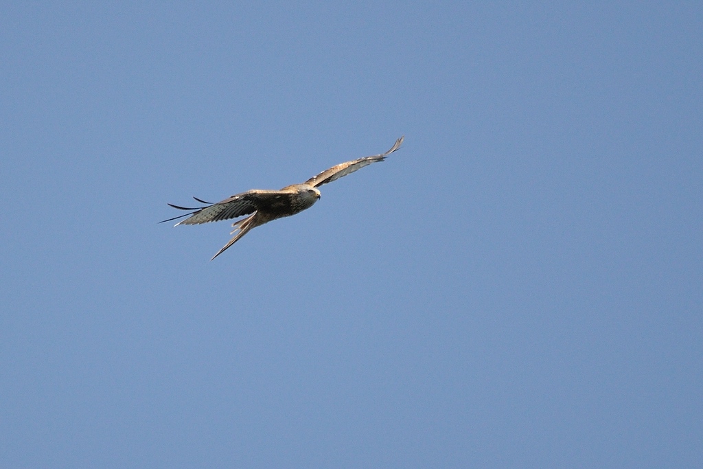 comp DSC 7857 bearbeitet