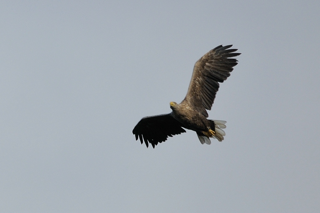 comp DSC 8167 bearbeitet