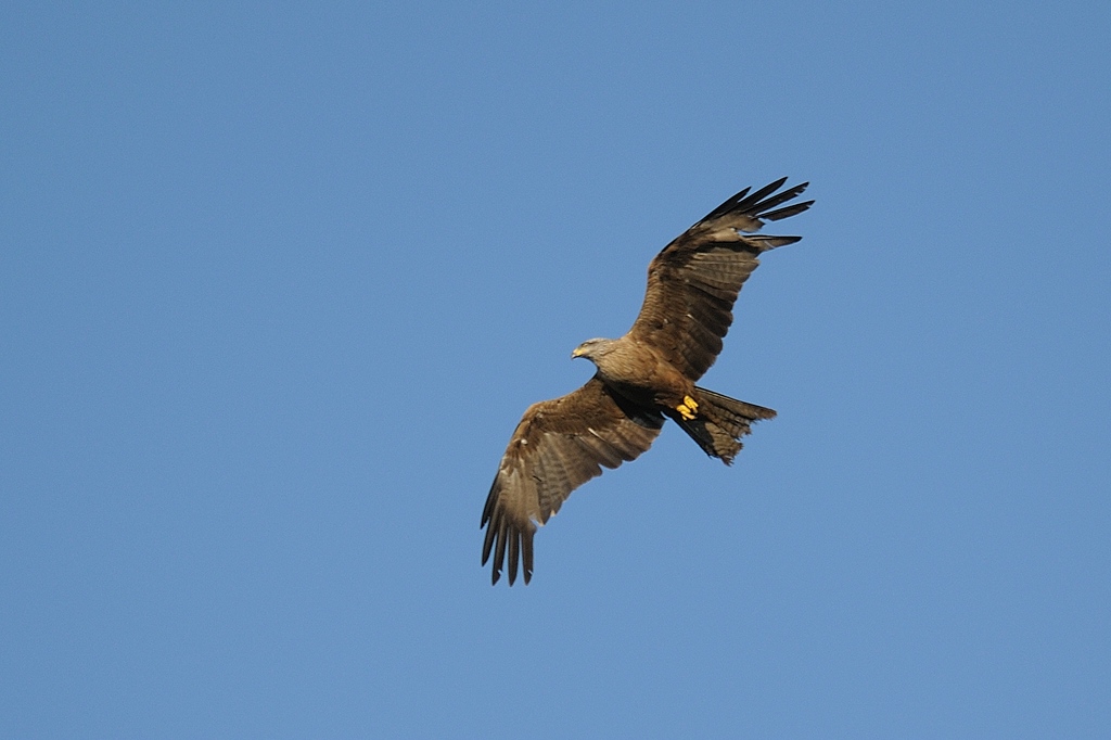 comp DSC 8345 bearbeitet
