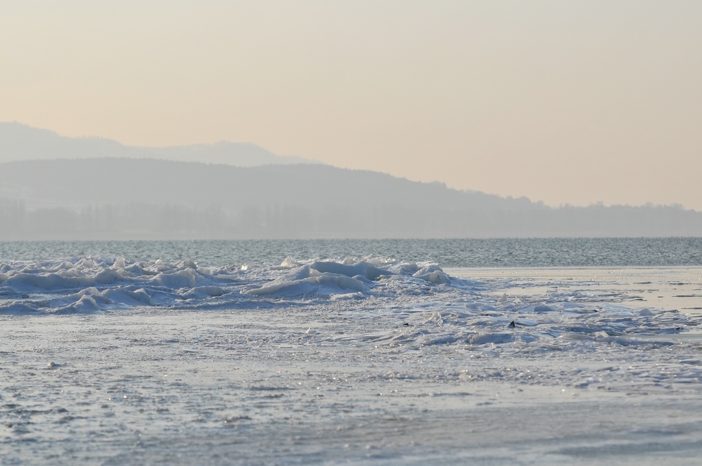comp DSC 8815