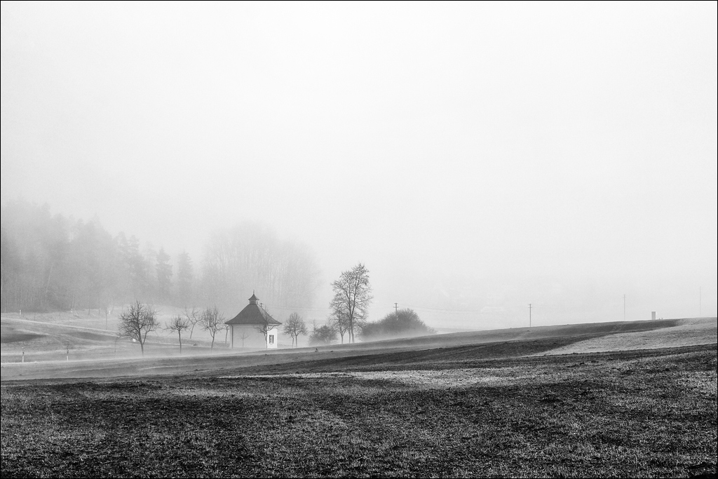 comp DSC00135