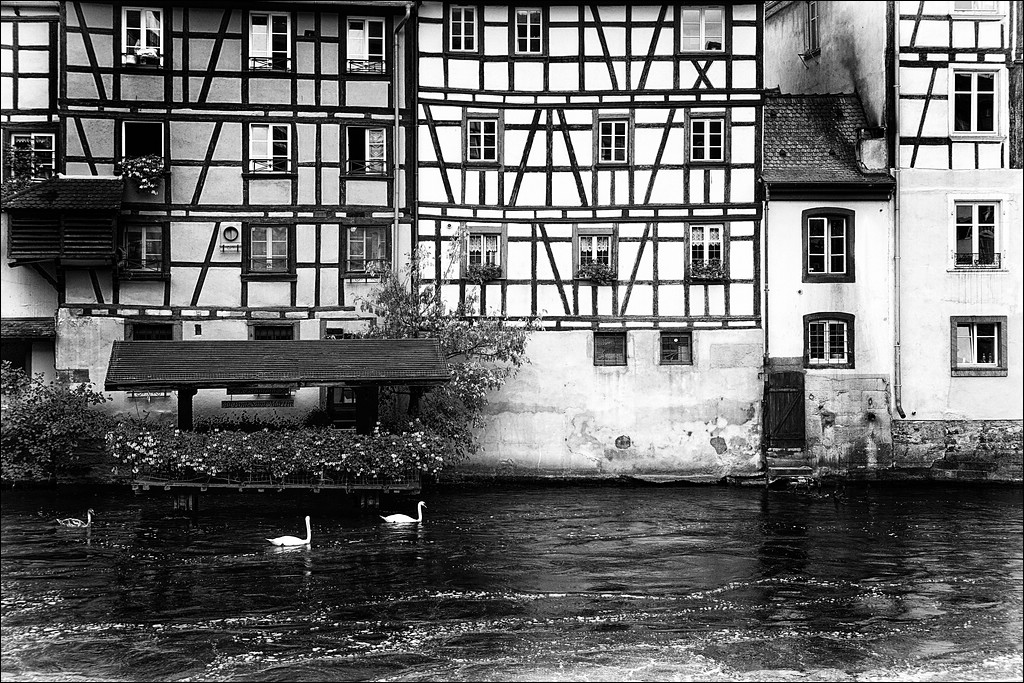 comp DSC00644 ShiftN Kopie