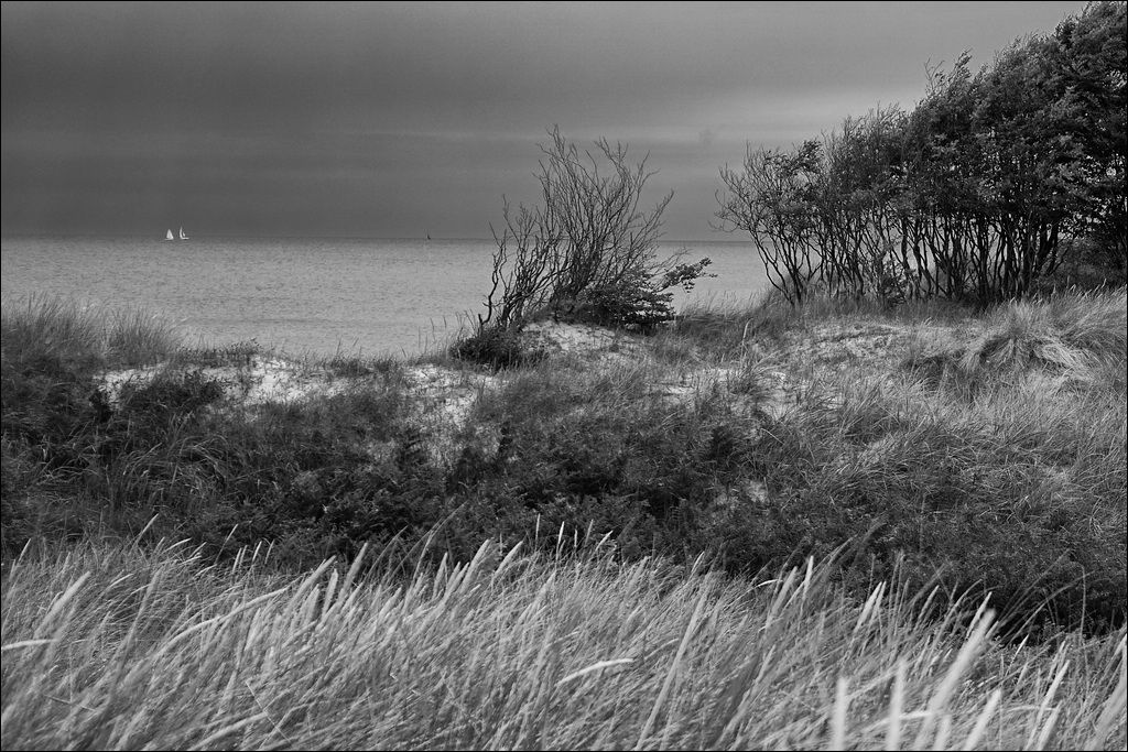 comp DSC04678 SW