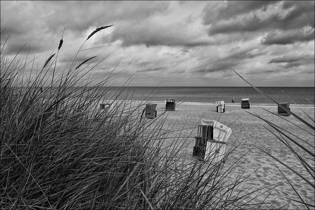 comp DSC04726