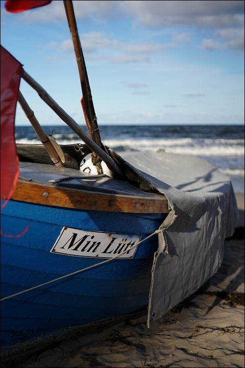 comp DSC05565