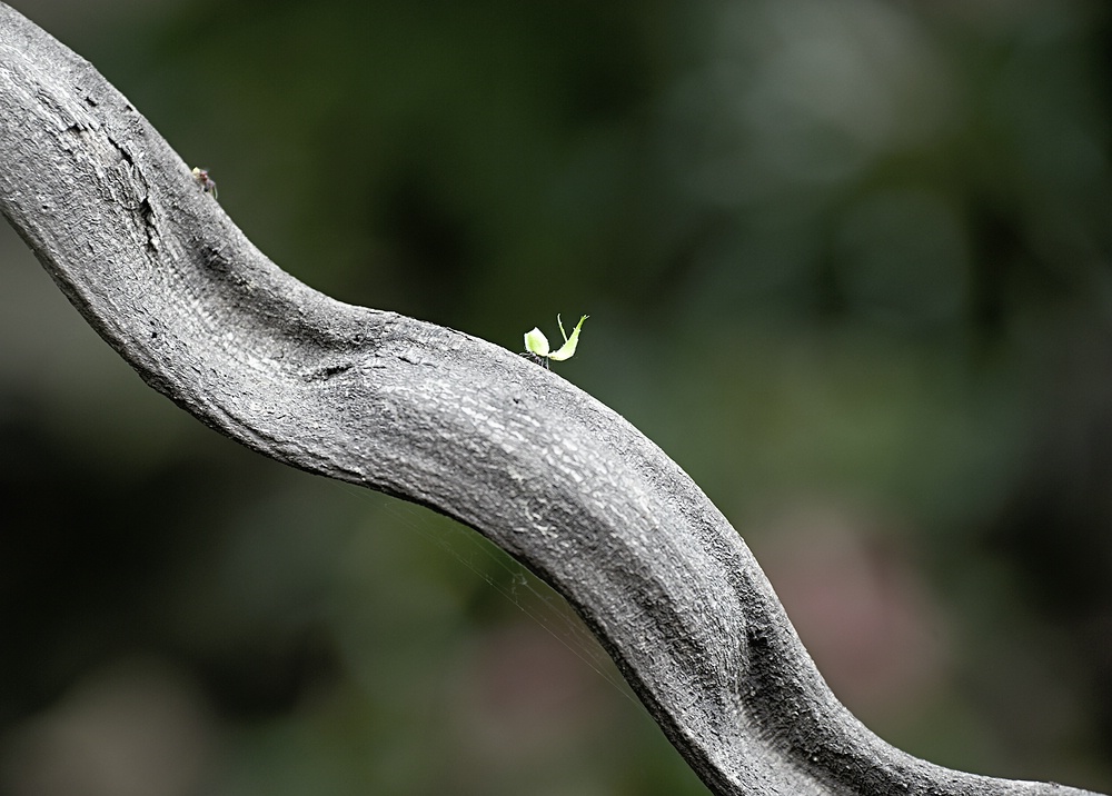 comp  DSC4125 ps