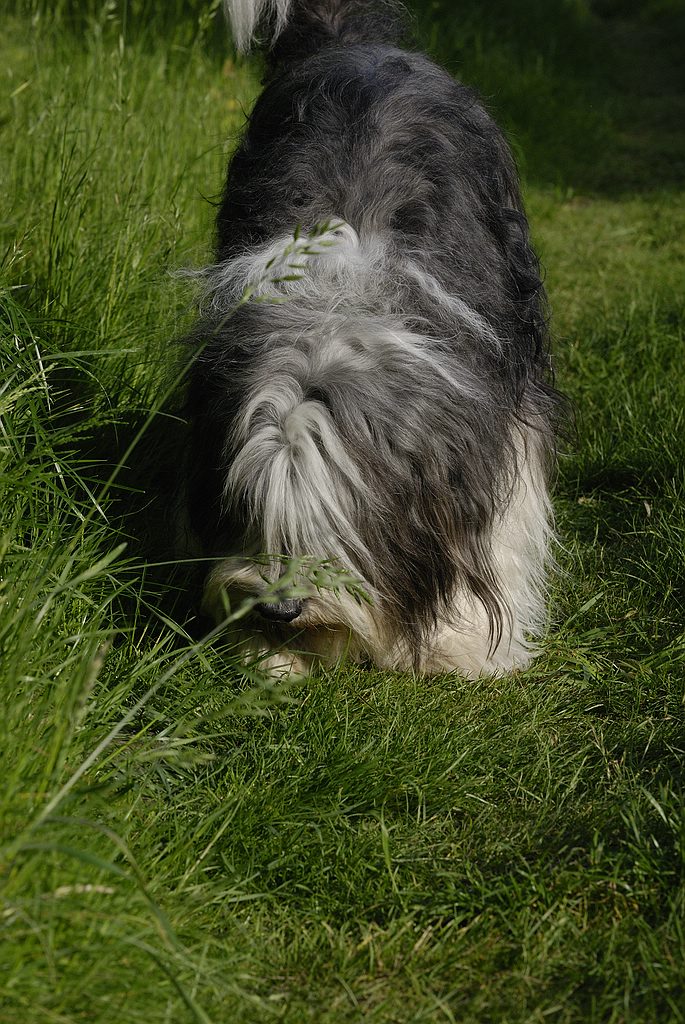 comp  DSC6846