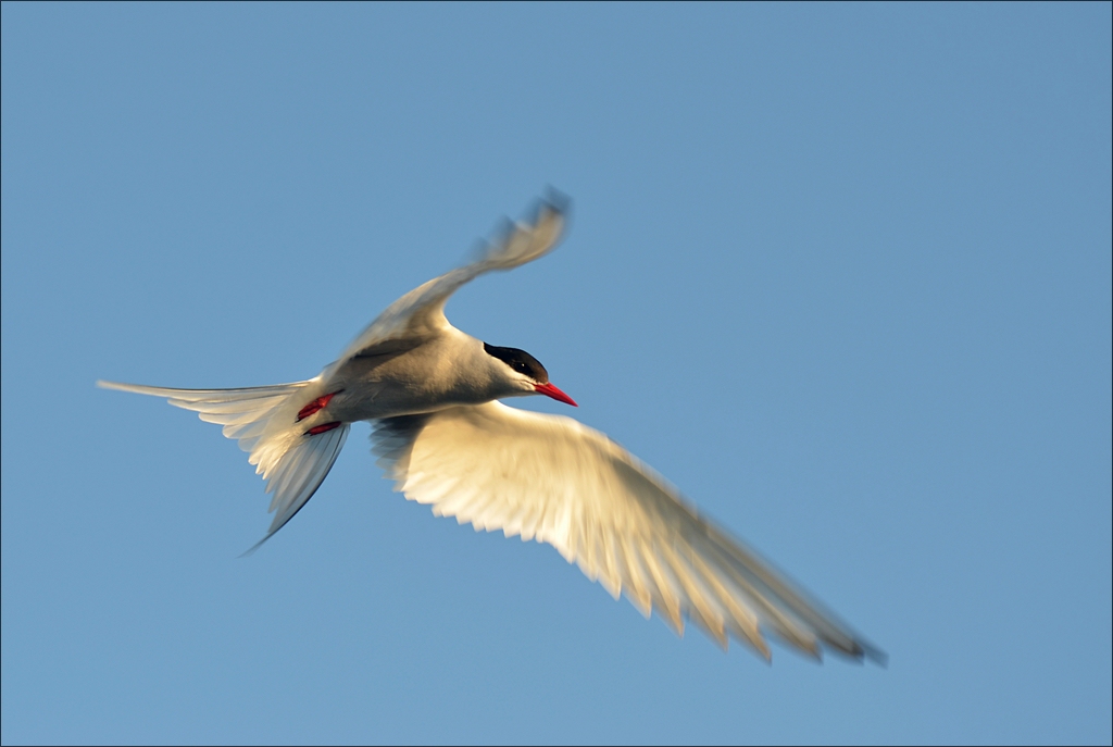 comp Eidersperrwerk 0147