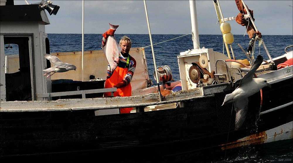 comp Färöer 2008 10211