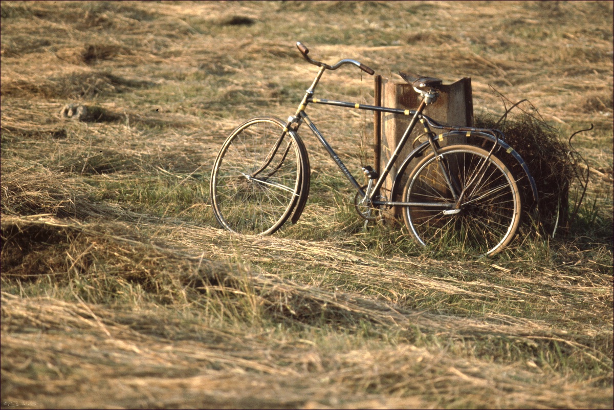 comp Fahrrad im Heu