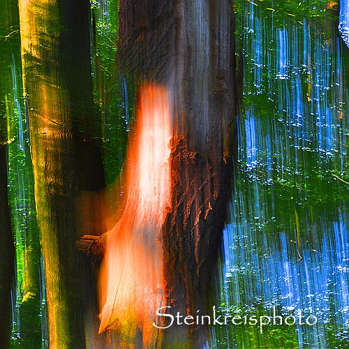 comp Feuerholz